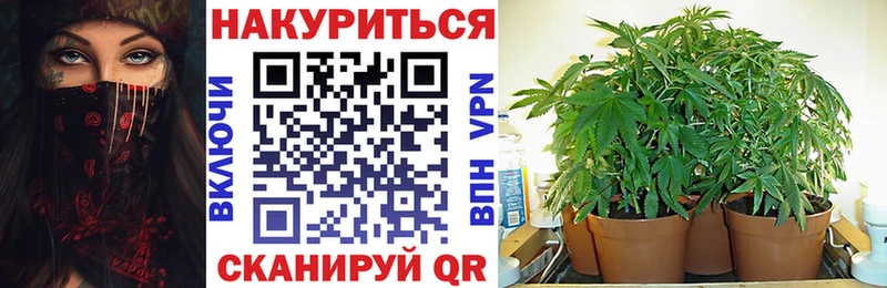Шишки марихуана план  Минусинск 